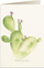 Картичка Tassotti 5987 Prickly Pear B6, со плик, шарена