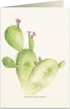 Картичка Tassotti 5987 Prickly Pear B6, со плик, шарена