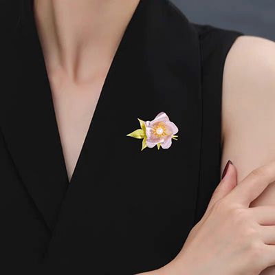 Brosh elegante Troli