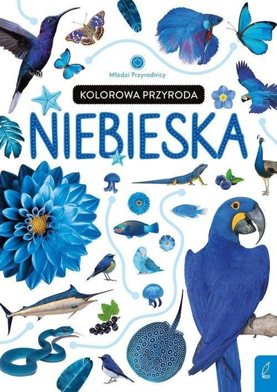 Libër për kalamaj Young Naturalists Colorful Nature Blue, enciklopedik, me ilustrime me ngjyra, shumëngjyrësh