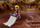 Set lojrash Playmobil Naruto Shippuden 70667 Naruto kundër Pain, me figura, shumëngjyrësh