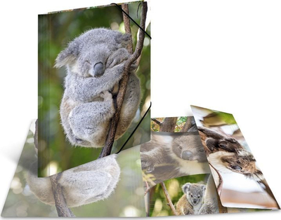 Folder dokumentesh Herma A4 Glossy Koala, plastik, shumëngjyrësh