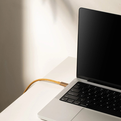 Kabllo USB C në USB C Native Union Belt Cable Pro, 2.4 m, 240W