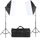 Set drite studio Studioking Daylight King SB01, 2 softbox, 10 x 45W, i zi