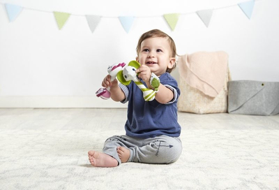 Lodër Tiny Love Teether Florence