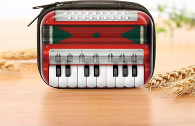 Kuti fotografish LoveInstant Retro Accordion, për Instax Mini 2x3", metalike, shumëngjyrëshe