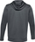 Duks për burra Under Armour 1357087-012, L, gri