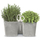 Vazo barishtesh Prosperplast Twins Cube, 2.5L, me gërshërë Herbs Cut, e bardhë