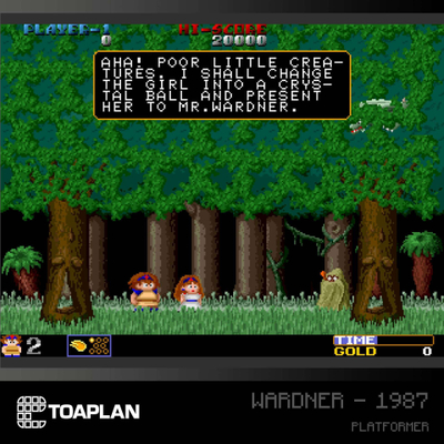 Kartrixh lojërash Evercade Toaplan Arcade Cartridge 2, koleksion me 27 lojëra, për Evercade