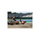 Canon RF 70-200MM F2.8L IS USM Z