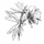 Vaj esencial Alteya Organics Geranium, 10 ml