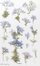 Stickerë dekorativë Appree Flowers Phlox, PET, fletë 150x94 mm, shumëngjyrësh