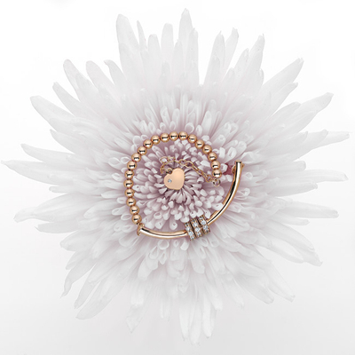 Byzylyk Hot Diamonds DL534