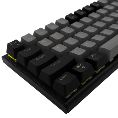 Tastierë Gaming White Shark Mekanike, Wakizashi