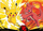 Puzzle Ravensburger Pokemon, set 4x100 pjesë, shumëngjyrësh