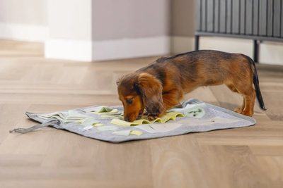 Tapet nuhatës për këlysh Beeztees Puppy Sniffing Mat Doeka, 50 x 45 cm, material tekstil, gri