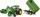 Traktor lodër BRUDER John Deere 7R 350, me karikus përpara, me rimorkio me 2 boshte