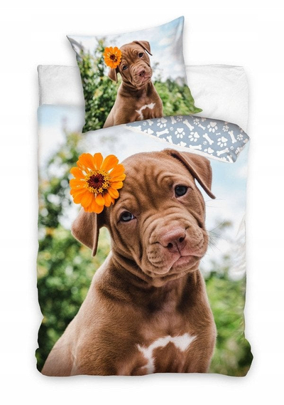 Сет постелнина Carbotex Labrador Doggie, памук, 160x200 cm, шарен