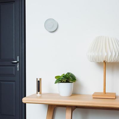Sirenë e brendshme Smart Netatmo