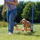 Pengesë agility për qen Trixie Agility Hurdle, 129x115cm, lartësi që rregullohet, blu portokalli