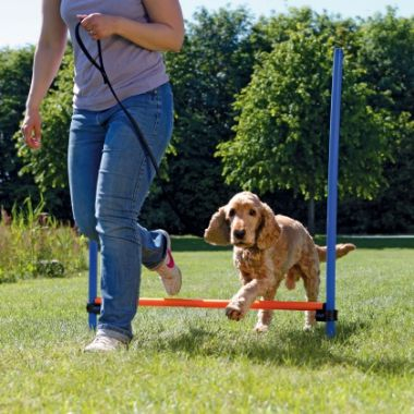 Pengesë agility për qen Trixie Agility Hurdle, 129x115cm, lartësi që rregullohet, blu portokalli