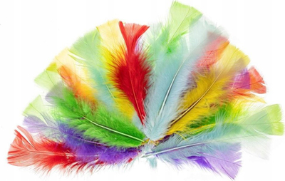 Pupla dekorative Brewis Pastel Turkey Feathers, 10-15 cm, me ngjyra të ndryshme
