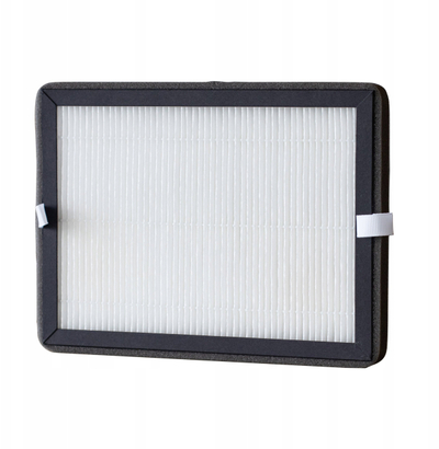 Filter ajri Webber DEQ10, HEPA11 me karbon aktiv, 22x16.5 cm, i bardhë