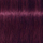 Ngjyrë për flokë Schwarzkopf Igora Royal, Violet Red 6-99, 60 ml