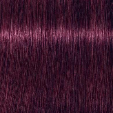 Ngjyrë për flokë Schwarzkopf Igora Royal, Violet Red 6-99, 60 ml