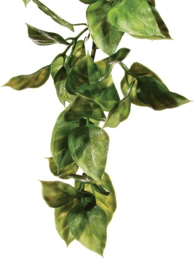 Bimë plastike për terrarium Exo Plastic Amapallo, e vogël, jeshile