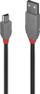 Kabllo Lindy (36724), USB-A - miniUSB, 3 m, e hirtë
