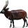 Figurinë kafshe Collecta Antelope Bongo, model 004-88809, kafe