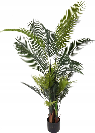 Bimë artificiale Home Styling Collection Palm Dua, 160cm, në vazo, jeshile