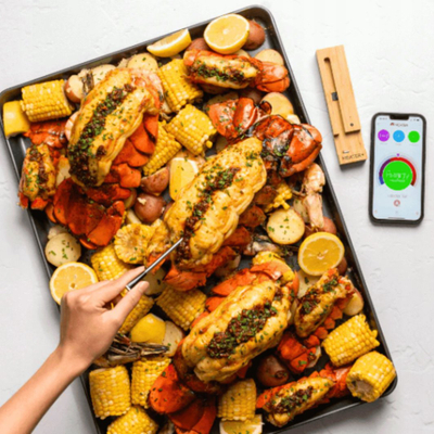 Termometër mishi Meater Plus, wireless, çelik inox, argjendtë