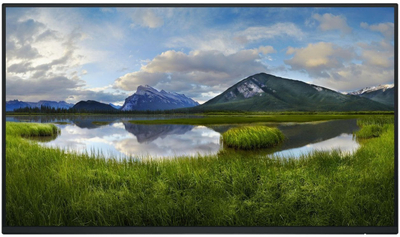 Monitor DELL P Series P2425H, 24", Full HD, i zi