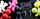 Aromatizues veture Little Joe 3D Polymer Black Velvet, me klips, i zi