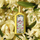 Eau de Parfum Gucci Flora By Gucci Gorgeous Orchid