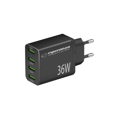 Karikues muri Esperanza EZC107K, 36W, 4 porta USB, i zi
