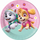 Pjata letre PROCOS Paw Patrol Skye &amp; Everest, 23cm, set me 8 copë, shumëngjyrëshe