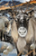 Kartolinë 3D Worth Keeping Mini Reindeer, për zbukurim, për festa, shumëngjyrëshe