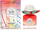 Parfum Hermès Tutti Twilly d'Hermès, Eau de Parfum, 30ml