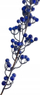 Garlandë zbukuruese Saska Garden Navy Blue Rowan, 160cm, me fruta dekorative, blu e errët