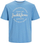Maicë për meshkuj Jack&Jones Jjforest 12256943, e kaltër