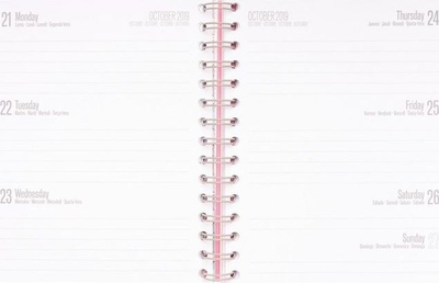 Planifikues Pusheen Planner 2019/2020, 15.5 x 19 cm, për të gjithë