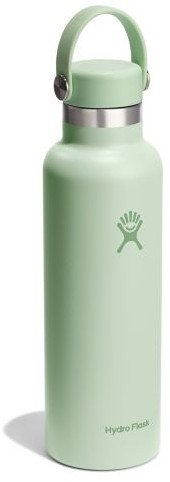 Шише за вода Hydro Flask Standard Flex Cap, 21oz, не'рѓосувачки челик, Aloe