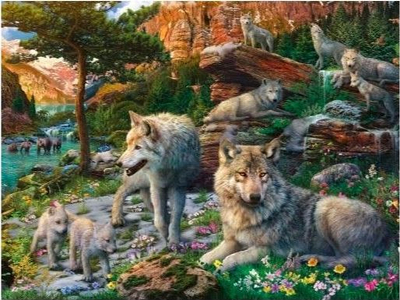 Puzzle Ravensburger Wolves in Spring, 1500 copë, pamje natyre, shumëngjyrësh