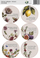 Set ngjitësash Szaron Sticker Set Botanic, 6 copë, dizajn botanik, shumëngjyrësh