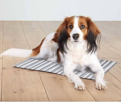 Tapet ftohës për qen Trixie Cooling Mat M, 40 x 50 cm, bardh e gri