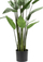 Bimë plastike Emer Heliconia, 125cm, me vazo, jeshile me të zezë