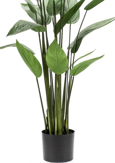 Bimë plastike Emer Heliconia, 125cm, me vazo, jeshile me të zezë